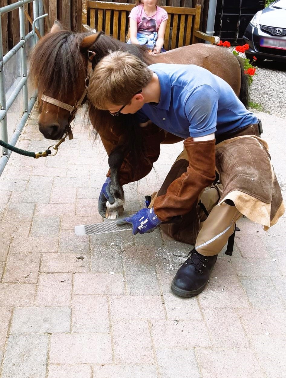 Silas bei der Hufbearbeitung