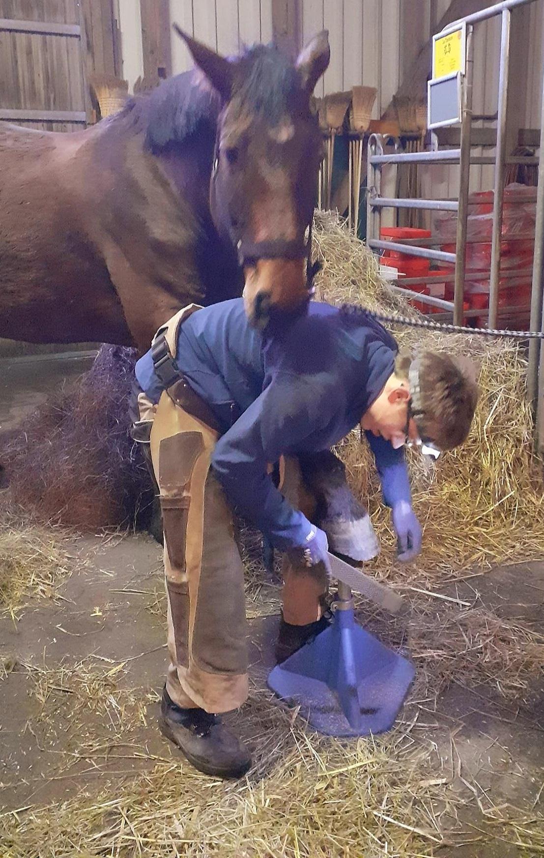 Silas bei der Arbeit mit Pony