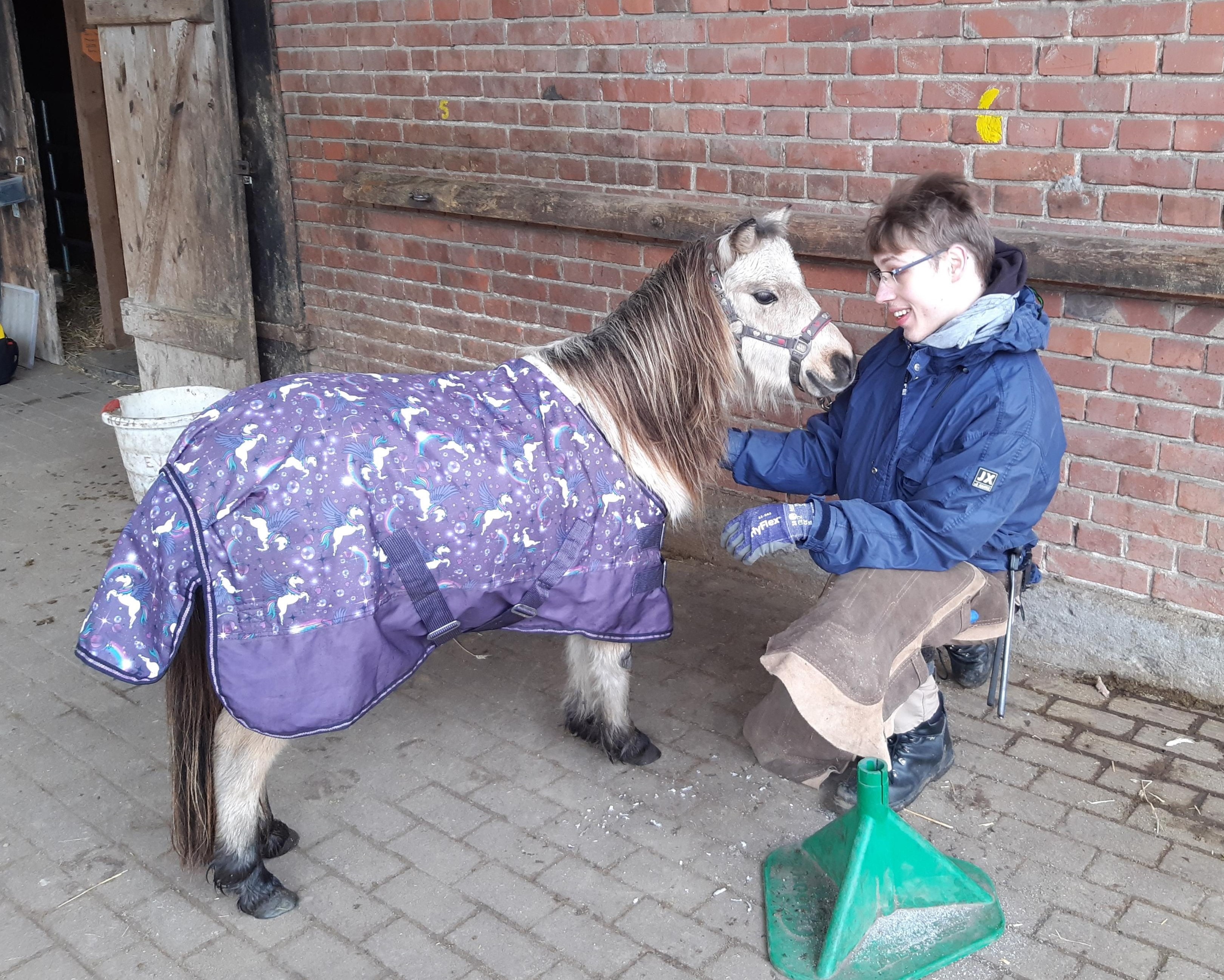 Silas bei der Hufbearbeitung im Stall